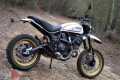 Todas las piezas originales y de repuesto para su Ducati Scrambler Desert Sled Thailand 803 2017.